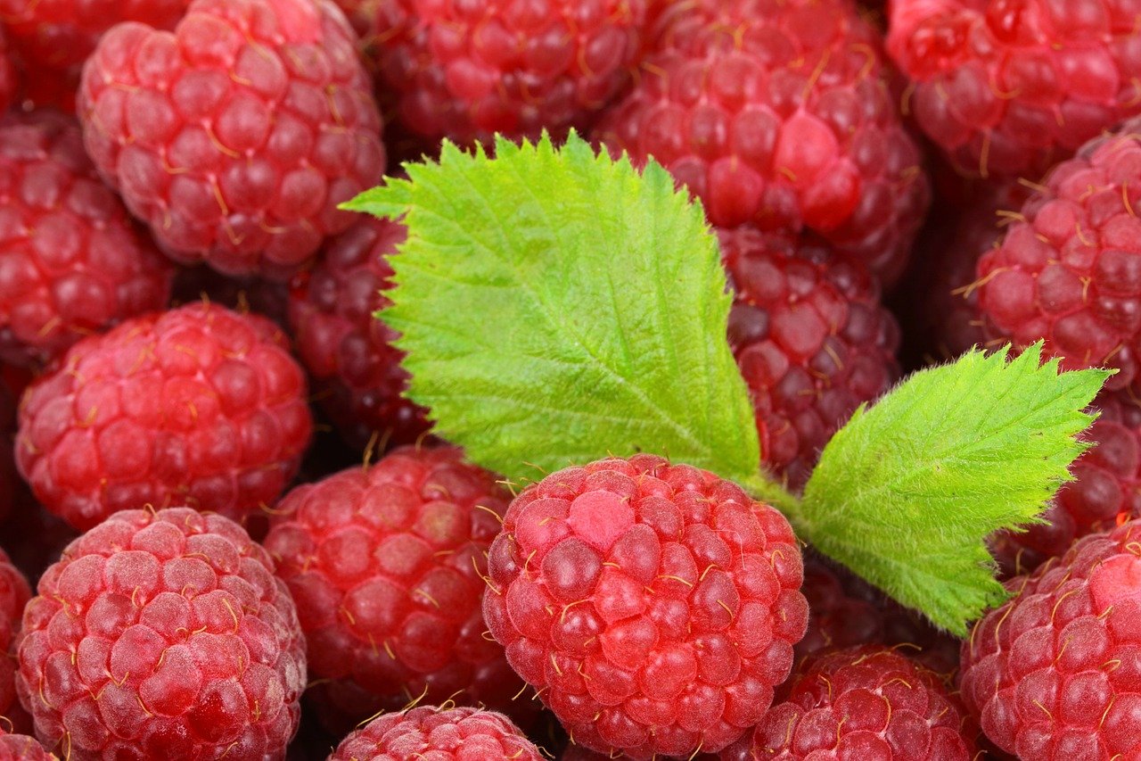 berries, raspberries, fruits-2276.jpg